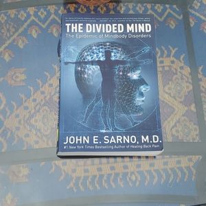 The divided mind the epidemic of mindbody disorder